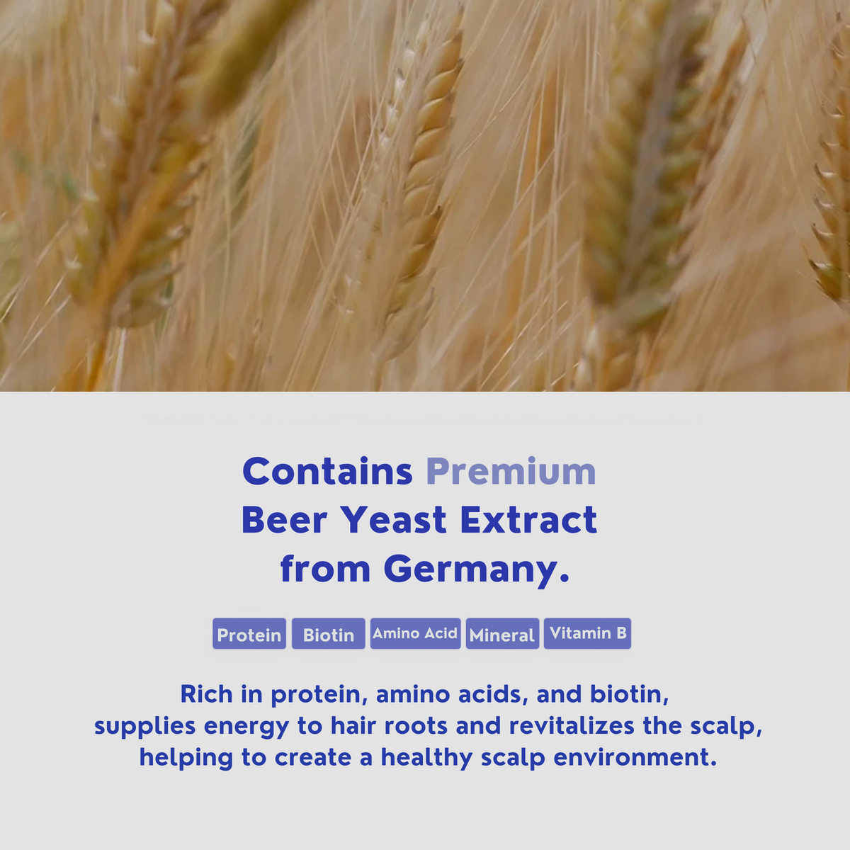 Beer Yeast Shampoo