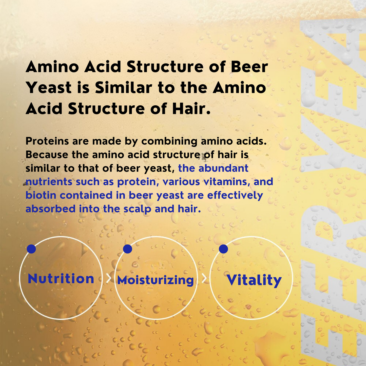 Beer Yeast Shampoo